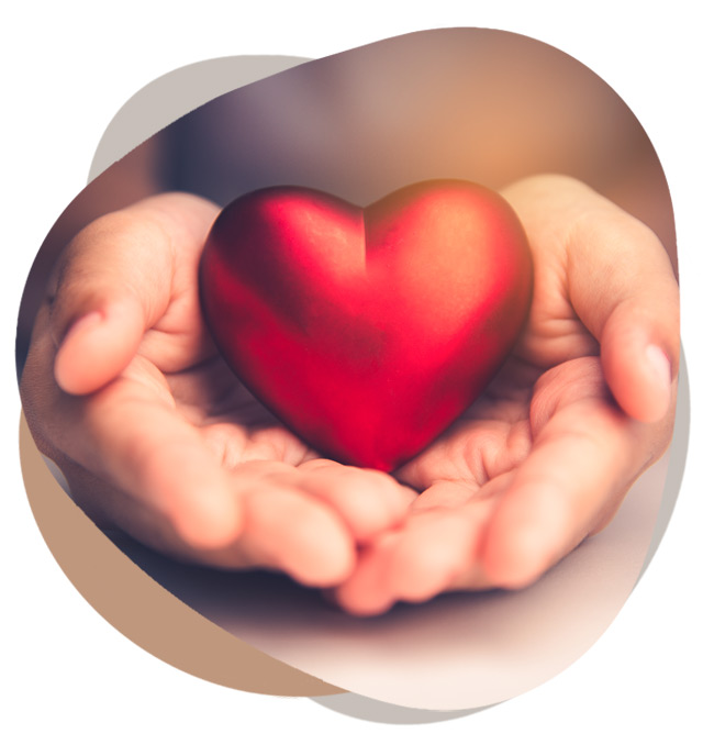 zwei Haende halten ein rotes Herz